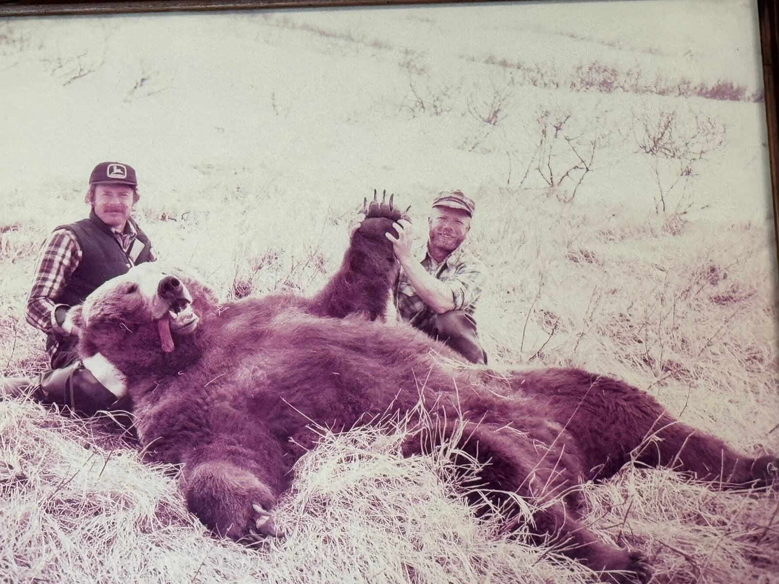 The Biggest Bear
