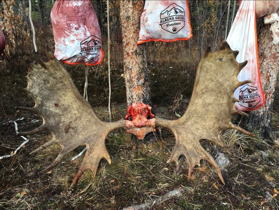 How I Take Care of a Moose